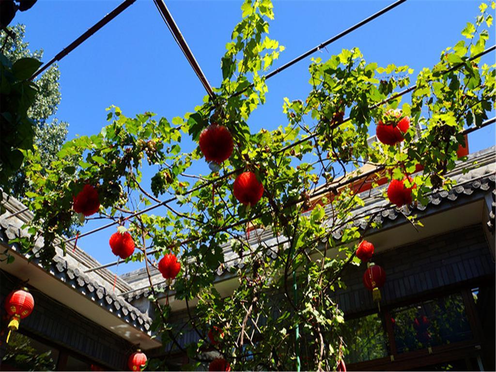 Emperors Guards Station-courtyard View Hou Hai Bed & Breakfast Beijing